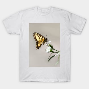 Swallowtail Butterfly T-Shirt